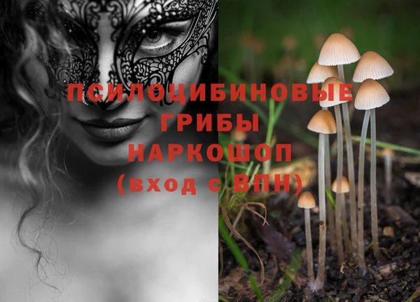 mdpv Красноперекопск