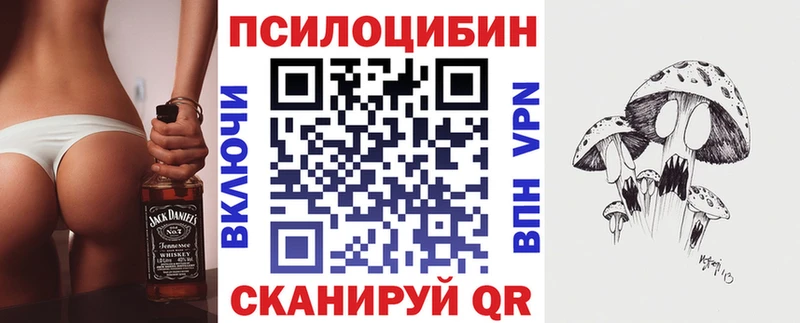 Галлюциногенные грибы Psilocybe  Богданович 